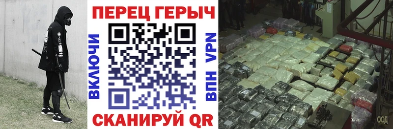 ГЕРОИН хмурый  Западная Двина 