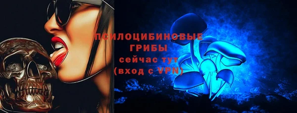 мяу мяу мука Горно-Алтайск