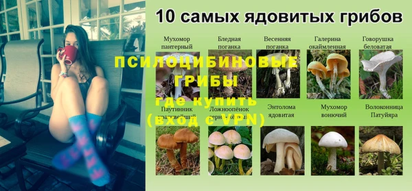 герыч Вяземский