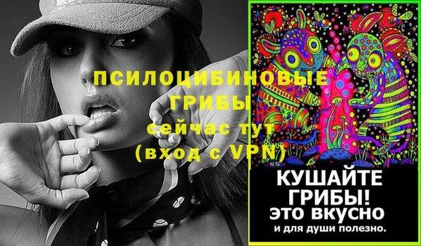 герыч Вяземский